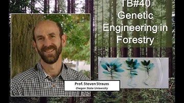 Talking Biotech 040 -- Genetic Engineering in Forestry