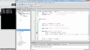 C++ programos sekimas 3: funkcija su masyvu
