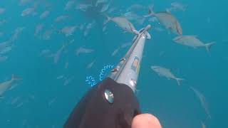 Spearfishing Survival: How a Personal Locator Beacon Saved 6 Boaters from a Capsized Boat