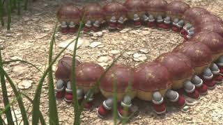 Myto the Millipede Walk Cycle