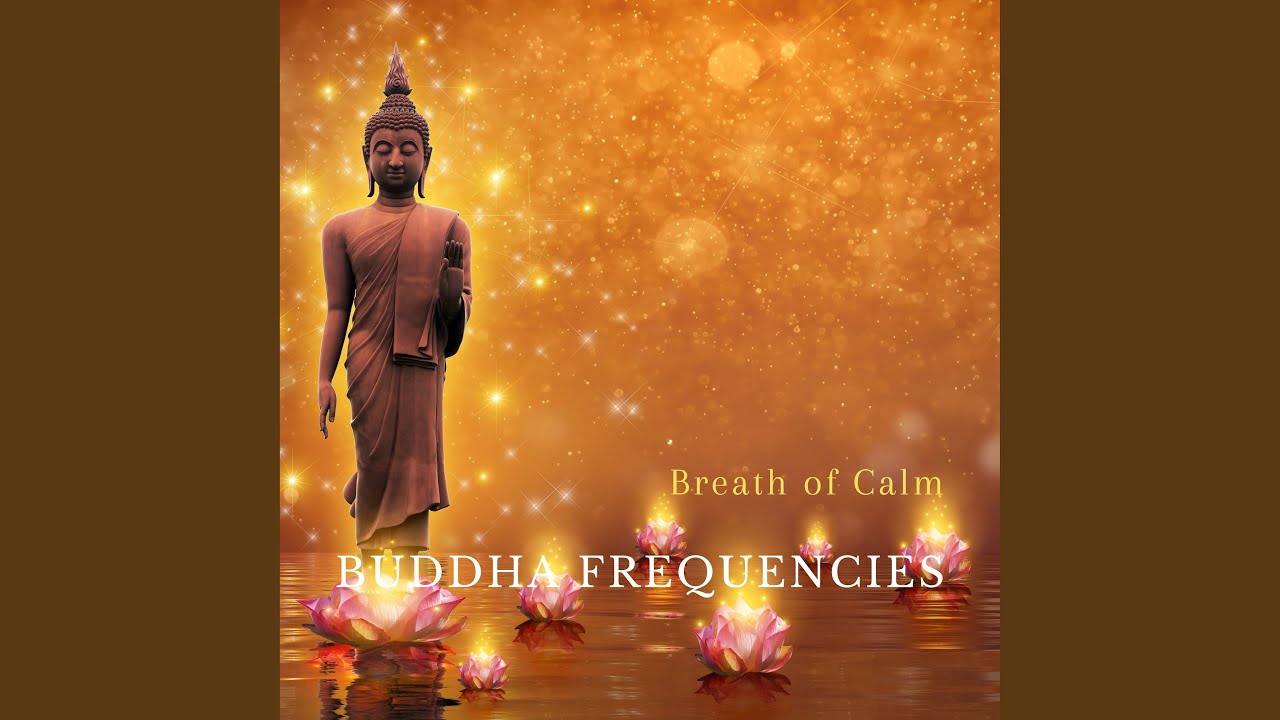 Παρακολούθηση Calm Waters στο YouTube Παρακολούθηση Calm Waters στο YouTube