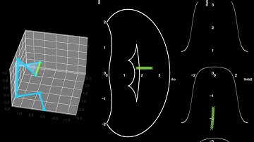 Cuspidal Manipulators: Simple yet infeasible path