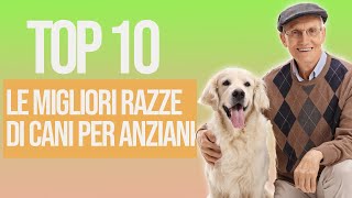 TOP 10 Migliori Razze Di Cani Per Anziani by Funny Pets 8,549 views 1 year ago 6 minutes, 12 seconds