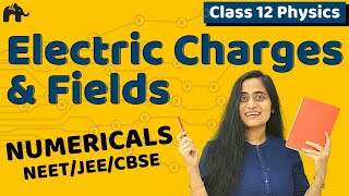 Electric Charges and Fields Class 12 Numericals | CBSE NEET JEE| Electrostatics