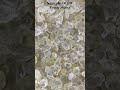 Sand Sample 0029 -- Cocabana, Brazil