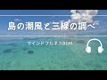 Natural Sonic「島の潮風と三線の調べ」 - マインドフルネスBGM -