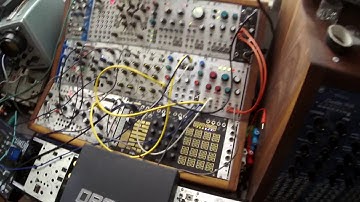 Mutable Instruments Clouds Kammerl Beat-Repeat Effect on BEATS 1/2