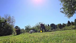 Chappie disc roller return to grab (soft flyte discs) screenshot 2