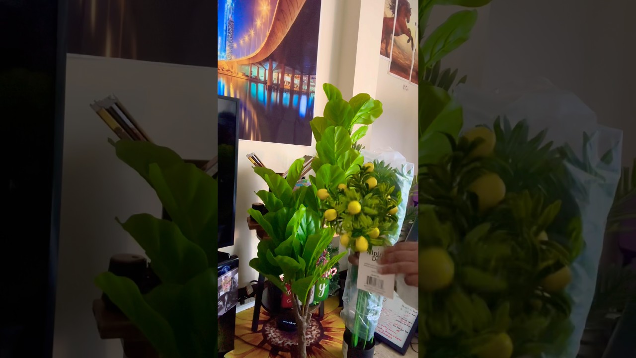 Unbox Solutions with Me #solution #decor #plants #plasticplant