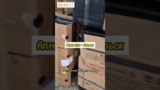 Производство кормов - отправка Алма-Ата - Сальск #гидропоника #лошади #корова #корма #откорм