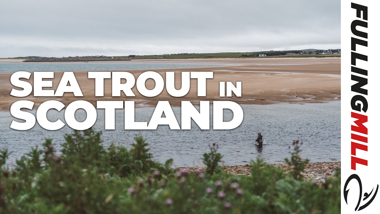 Морская форель в Шотландии | Лана Ричардсон и Колин Маклеод