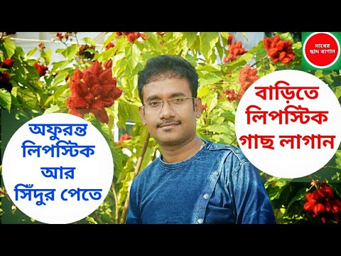 ভিডিও: কিভাবে বাটারকাপ বাড়াবেন?