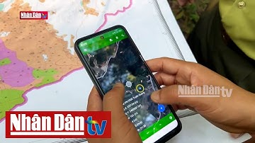 Hiệu quả của ứng dụng công nghệ số trong bảo vệ rừng