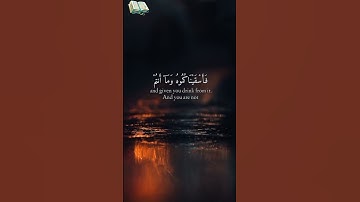 تلاوة عطرة للقارئ الشيخ هزاع البلوشي{وأرسلنا الرياح لواقح فأنزلنا من السماء ماء فأسقيناكموه}✨