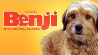 Free Full Movie Benji (1974) #fullfreemovie
