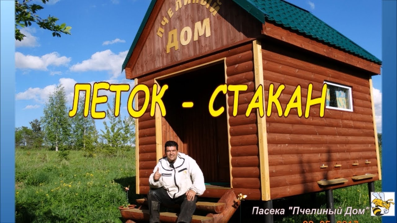 КАКОЙ ЛЕТОК ДЛЯ УЛЬЯ ЛУЧШЕ ВЫБРАТЬ? ЛЕТОК - СТАКАН (Which to choose a ...