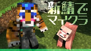【Maincraft】新しい旅立ち！新しい鯖！新しい命！【珍面子】