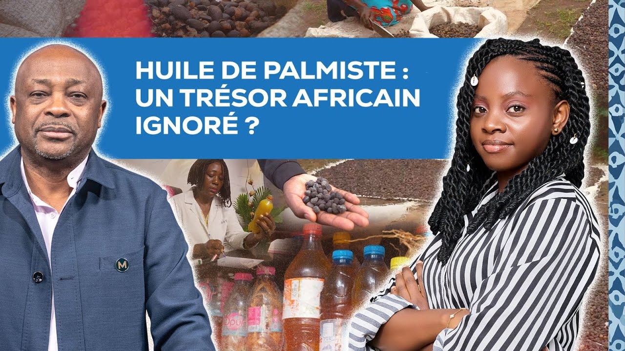 Huile de palmiste : un trésor africain ignoré ?