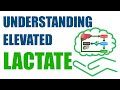 Understanding Elevated Lactate