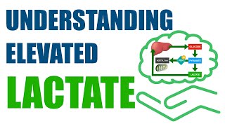 Understanding Elevated Lactate