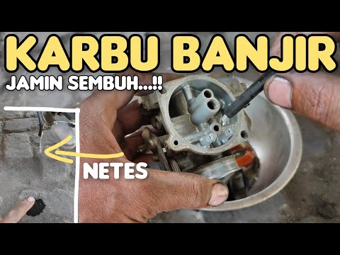 Cara mengatasi karbu banjir, jamin sembuh..!!