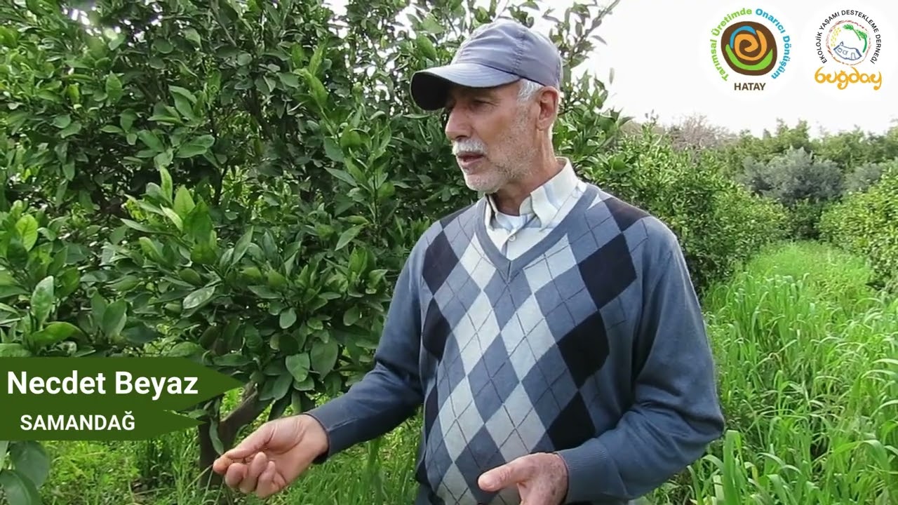 Necdet BEYAZ - Üretici / HATAY Samandağ