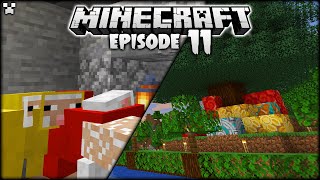 Famous Christmas Tree Decorating! | Minecraft Survival Ep.11 Profile