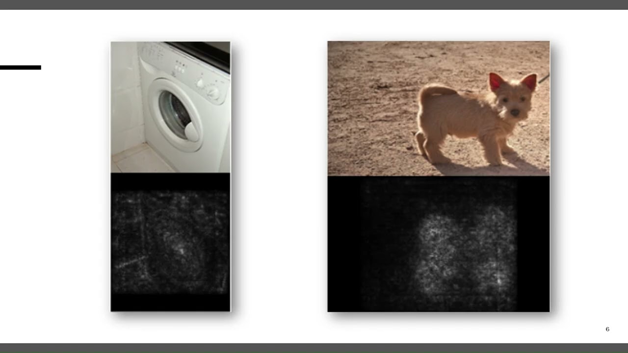 Visualising Image Classification Models and Saliency Maps