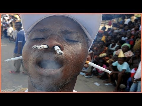 ყველაზე იდიოტი ადამიანები დედამიწაზე