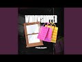 Windowshopper 