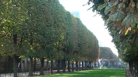 Joe Dassin - Le Jardin du Luxembourg