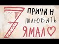 Мультипликационный фильм &quot;7 причин полюбить Ямал&quot;, создан по идее Светланы Котовской