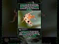 Hanging by the thread of fate,tearing through its old spottedshell#foryou #fyp #animals #funny