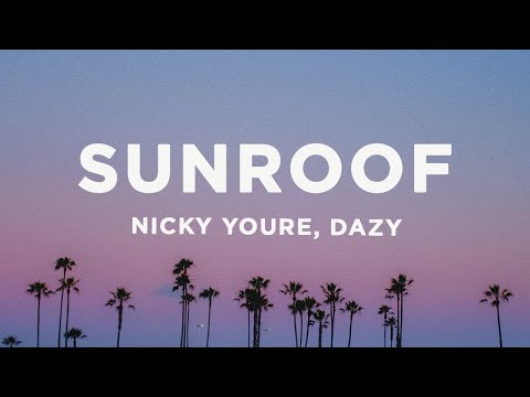 Nicky Youre, dazy - Sunroof (Lyrics)