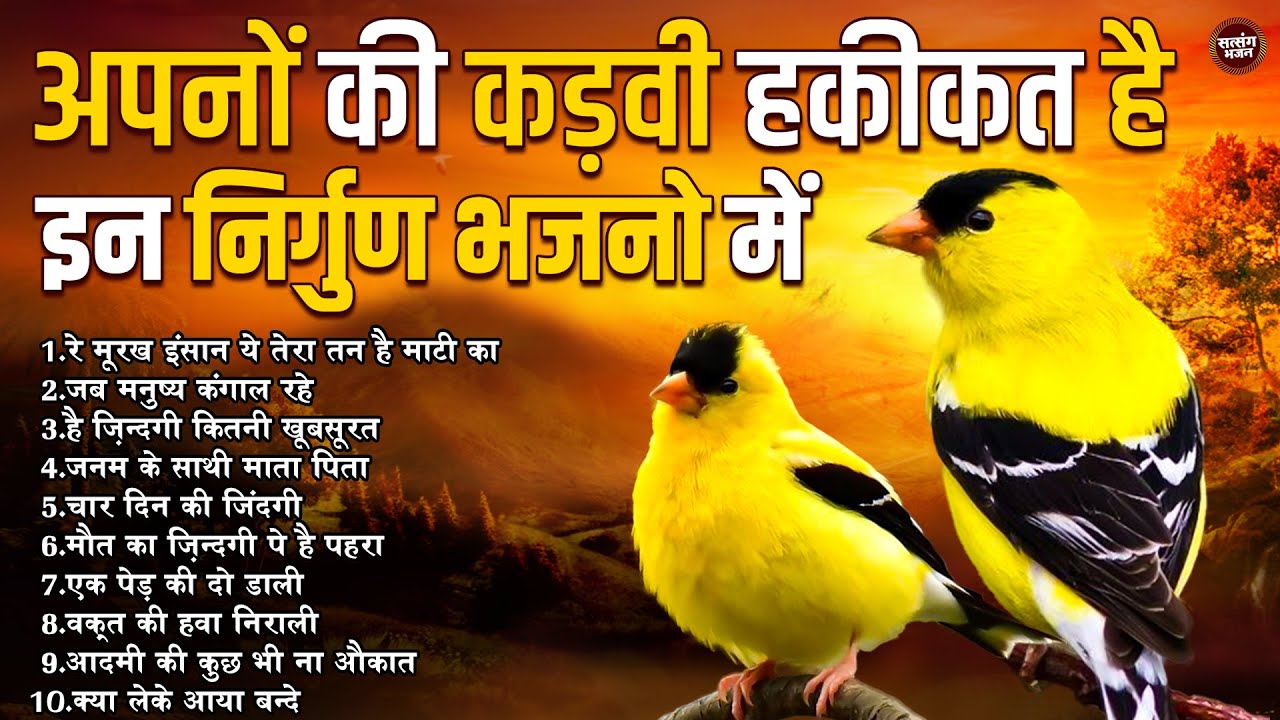 अपनों की कड़वी हकीकत है इन निर्गुण भजनो में | वक्त की हवा निराली | Nonstop Top 10 Nirgun Bhajan