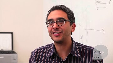 Singapore lab tests cyborg beetles