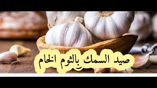 لاول مره صيد السمك بالثوم الخام الجزء الثاني