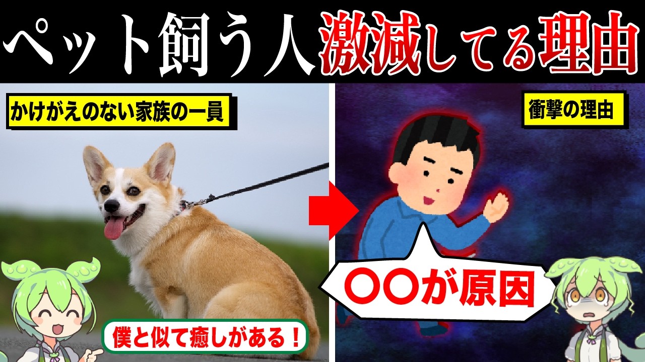なぜペットを飼う人が激減しているのか？【ずんだもん&ゆっくり解説】