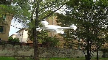 BLADE 350QX  GPS mode Compass inside