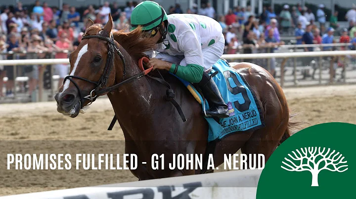 Promises Fulfilled - 2019 - The John A. Nerud Stakes