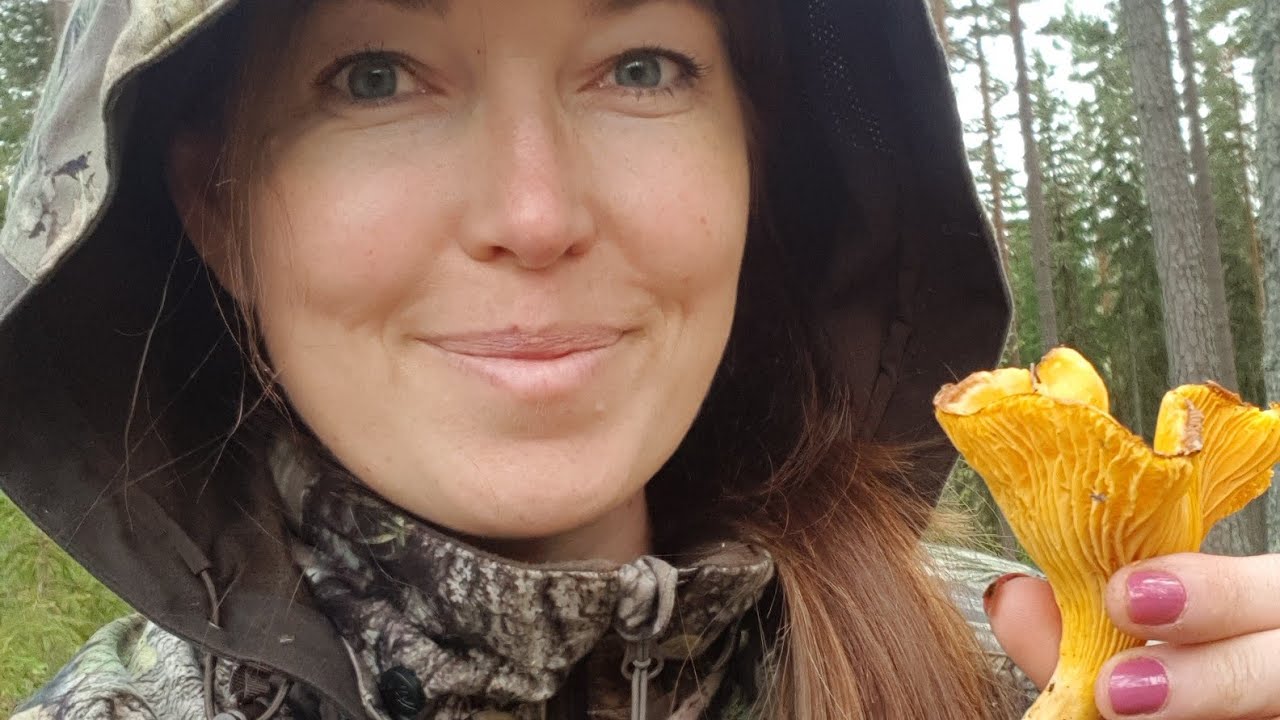 Plocka svamp , ger mina tips.