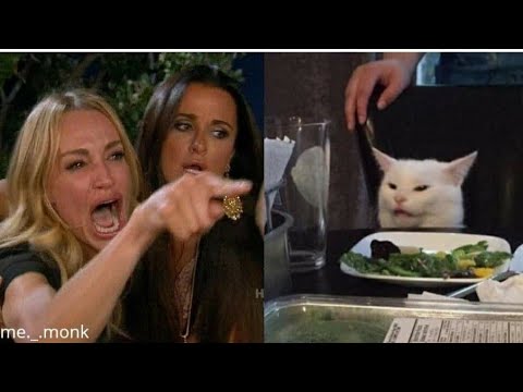 the-real-housewives-of-beverly-hills-cat-meme-||-girl-and-cat-meme-original-video