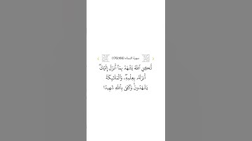 سورة النساء ١٦٦