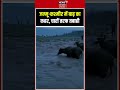 Jammu Kashmir : जम्मू-कश्मीर में बाढ़ का कहर, चारों तरफ तबाही | Flood
