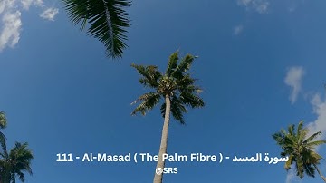 111 Al Masad The Palm Fibre سورة المسد আল মাসাদ (লাহাব)