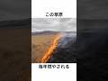この草原、毎年燃やされる。