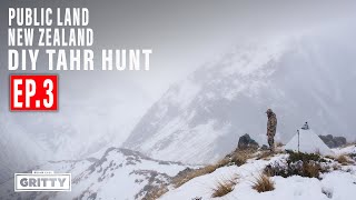 TWO BULLS! CLIFFED OUT | PUBLIC LAND | NEW ZEALAND