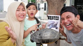 MENCARI KURA KURA BESAR YANG HILANG LEPAS 🐢🥵 Drama | Salsa and Family