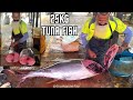 Beautiful fresh tuna fish cutting skills  satisfying knife skills
