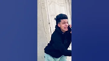 السجن واعر يصحاب كلاب قلبي في خطر حموطيخا ابنوب 